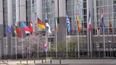 Avrupa bayrak önünde Avrupa parlament, brussels, Belçika