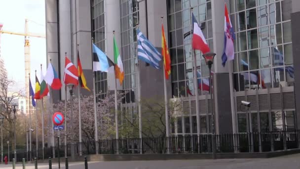 Bandeiras europeias em frente ao salão Europen, Bruxelas, Bélgica — Vídeo de Stock