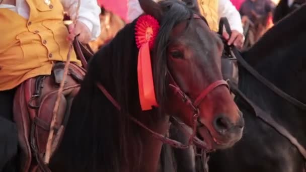 Roman Carnival poblíž Koloseum — Stock video