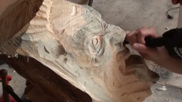 Escultor trabajando en una estatua de madera — Vídeo de stock