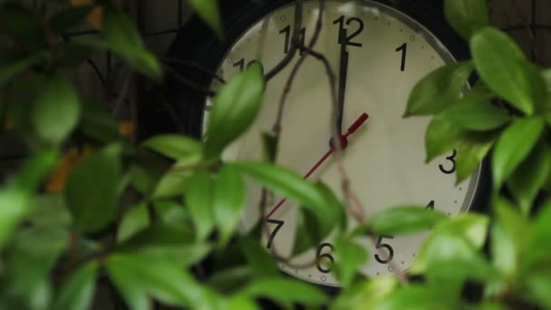 Reloj clásico en blanco y negro — Vídeos de Stock