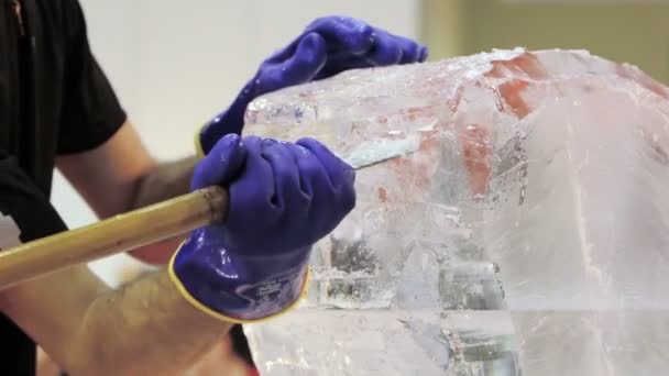 Sculpteur de glace utilisant le ciseau pour sculpter — Video