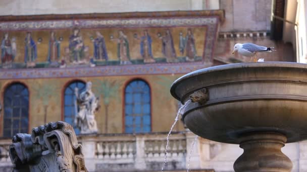 Fuente en Piazza Santa Maria — Vídeo de stock