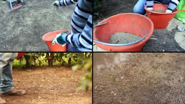 Hombre plantando semillas — Vídeos de Stock