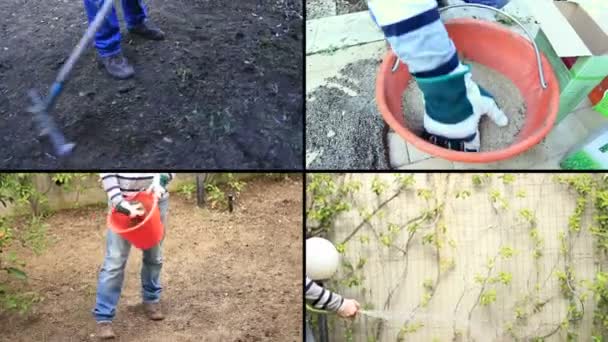 Homme plantant des graines — Video