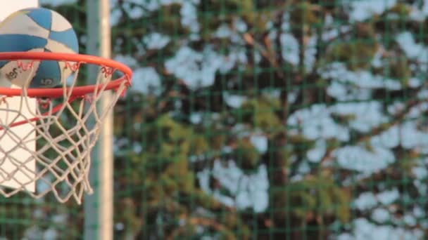 Basketbal gaan door het Net — Stockvideo