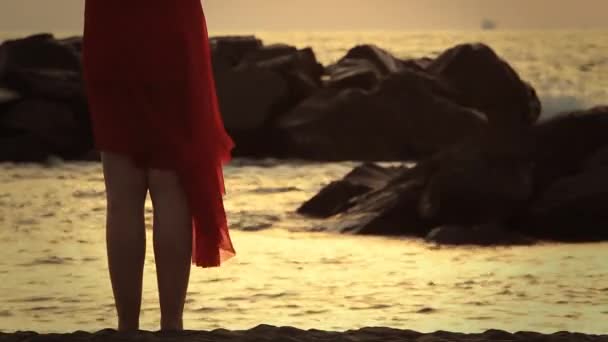 Junge melancholische Frau am Meer — Stockvideo