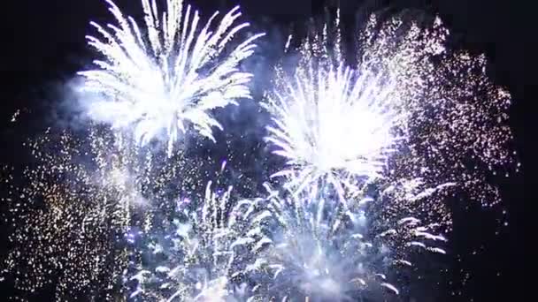 Fuochi d'artificio colorati nel cielo notturno — Video Stock