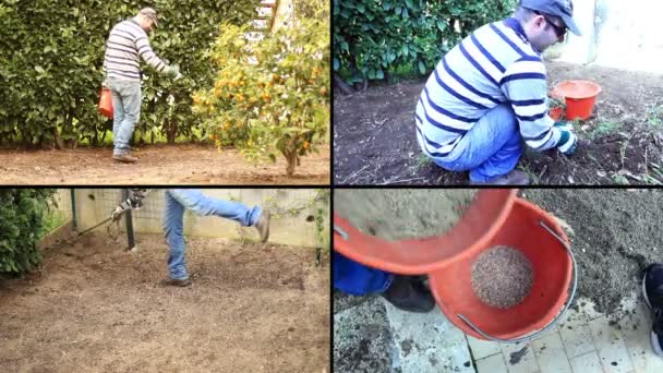 Homme plantant des graines — Video