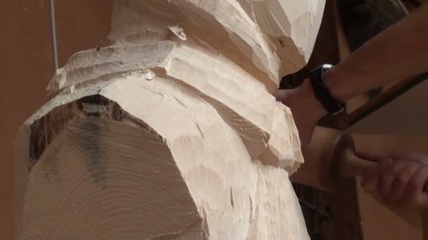 Скульптор, работающий над деревянной статуей — стоковое видео