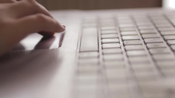 femelle utilisant un ordinateur portable