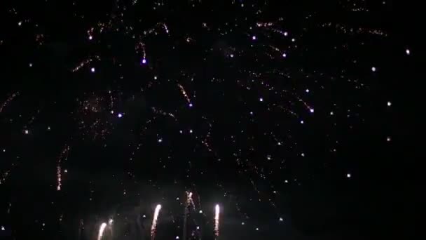 Kleurrijk vuurwerk aan de nachtelijke hemel — Stockvideo