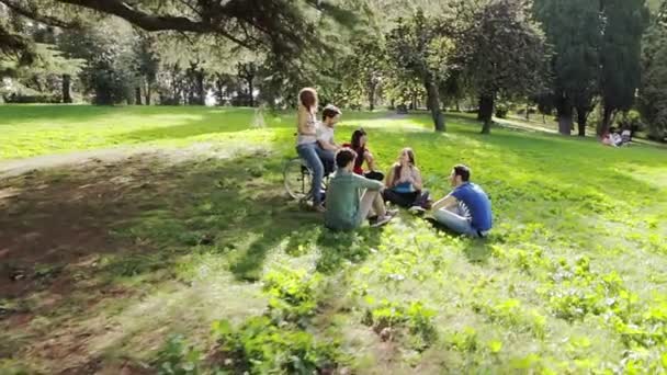 Gehandicapte man met een groep vrienden — Stockvideo