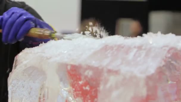 직장에서 얼음 조각가 — 비디오