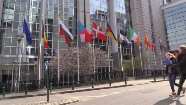 Европейские флаги перед зданием Европарламента, Брюссель, Бельгия — стоковое видео