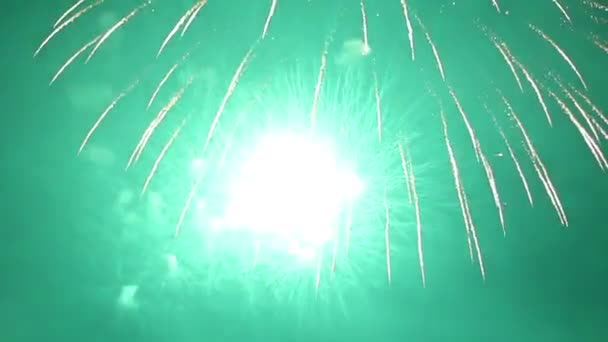 Fogos de artifício coloridos no céu noturno — Vídeo de Stock