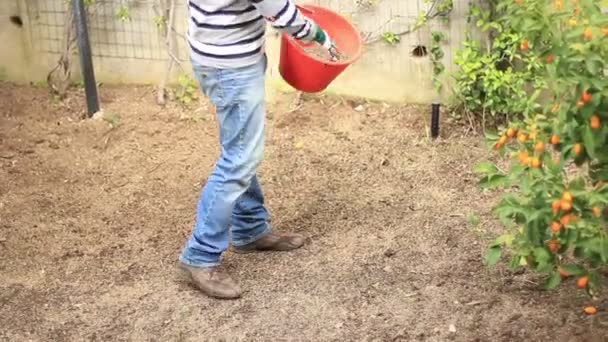 Hombre plantando semillas — Vídeo de stock