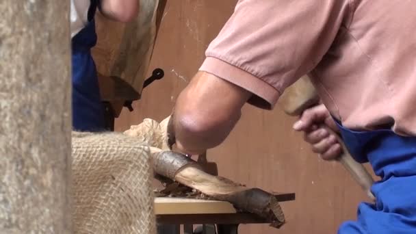 取り組んでいる木造仏像彫刻家 — ストック動画