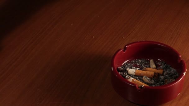 Hand met de verlichte sigaret — Stockvideo