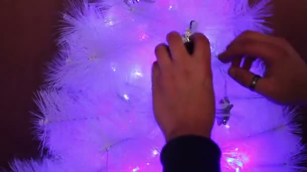 Setting up a Christmas tree — Stock Video