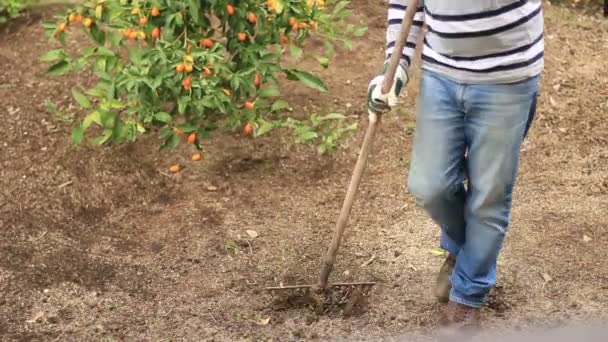 Homme plantant des graines — Video