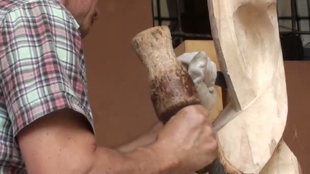 Bildhauer arbeitet an einer Holzstatue — Stockvideo