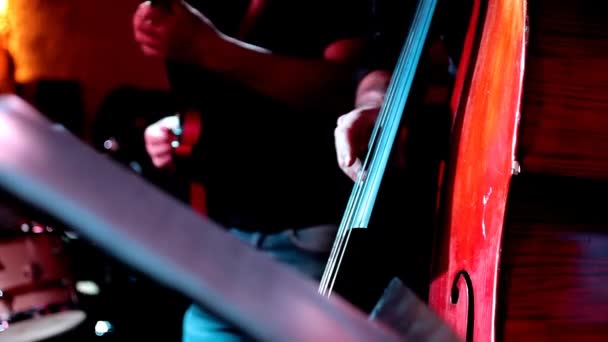 Musician playing contrabass — Stock Video