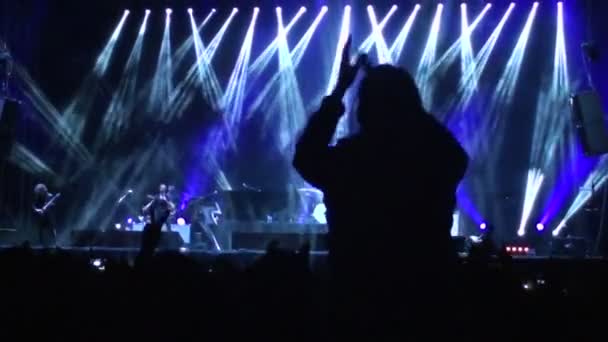 Crowd partying at a rock concert — Stock Video