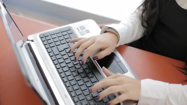 Trabalhando no laptop: uma menina está digitando em seu computador, trabalho de escritório, negócios — Vídeo de Stock