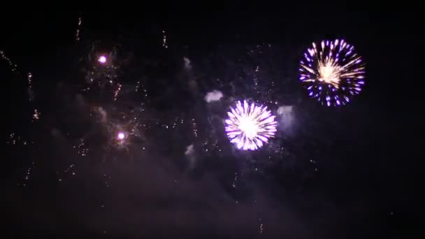 Fogos de artifício coloridos no céu noturno — Vídeo de Stock