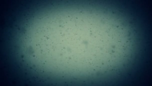 Fuzzy snowstorm: snowflakes fall faster — Stock Video