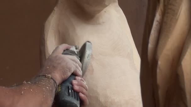 Bildhauer arbeitet an einer Holzstatue — Stockvideo