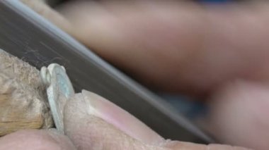 bir madalya parlatma