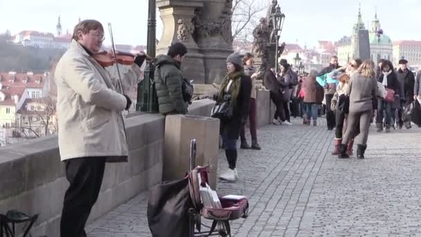 Straßenkünstler spielt Geige — Stockvideo