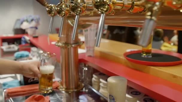Tazas de cerveza: dibujar cerveza en un pub — Vídeos de Stock
