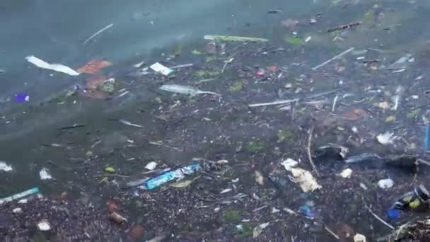 Poubelles en plastique et autres débris flottants — Video