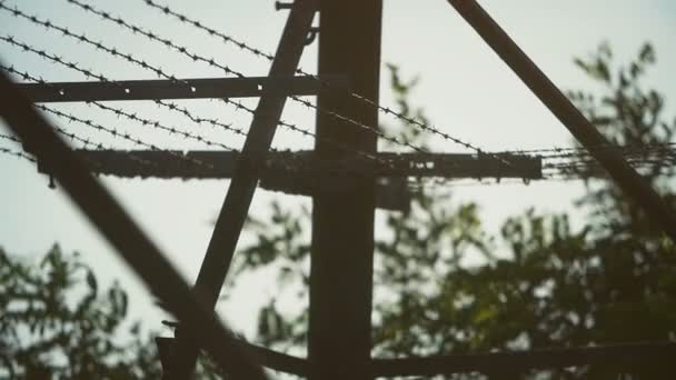 Fence with barbed wire — Stock Video