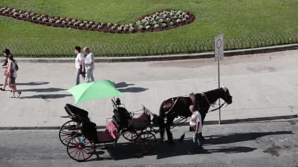 马和马车在罗马的导体 — 图库视频影像