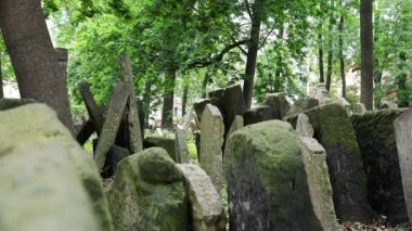 arka planda Prag ile gülümseyen kadın