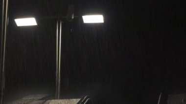 kadın trende okuma: elinde bir kitap tutan kadın