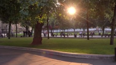 öğleden sonra güneş ile ortak bir parkta ağaçların atmak