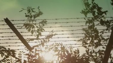 Dış dikenli tel çit