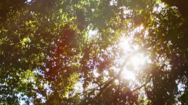 Sabah güneş parlıyor