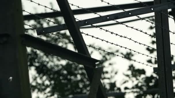 Fence with barbed wire — Stock Video