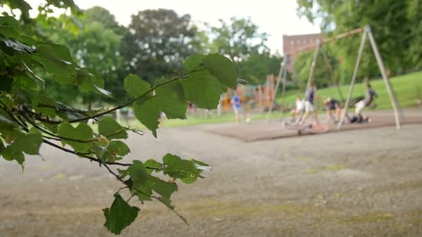 Niños jugando en el columpio en el parque: niños fuera de foco — Vídeos de Stock