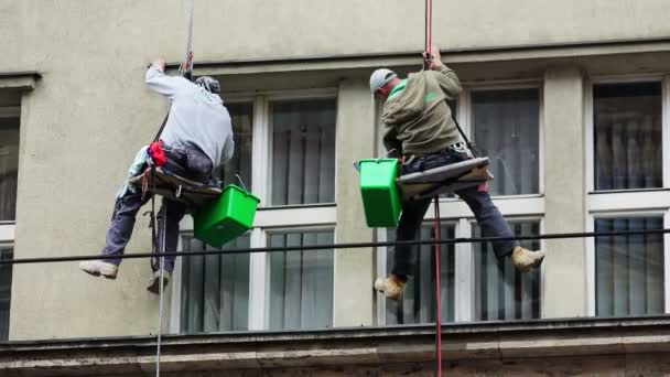 Operai qualificati che lavorano alla pulizia della finestra di un edificio sospeso nell'aria — Video Stock