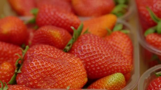 Strawberries at fruit market — Stock Video