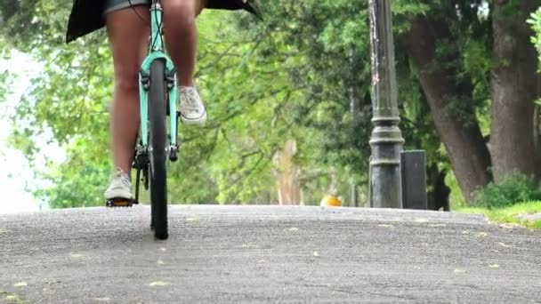 Uma mulher andando de bicicleta no parque da cidade — Vídeo de Stock