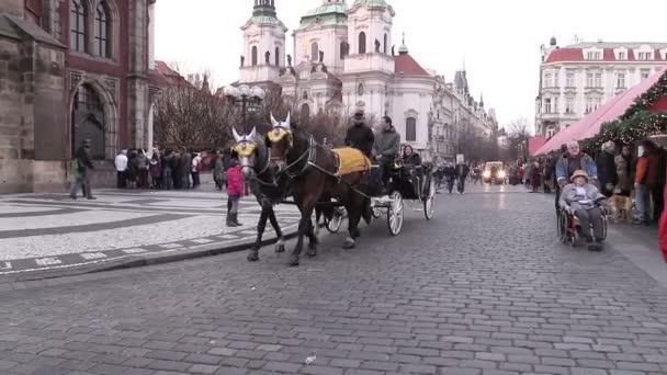 Kocsi lovak Prága központjában, a karácsonyi ünnepek — Stock videók