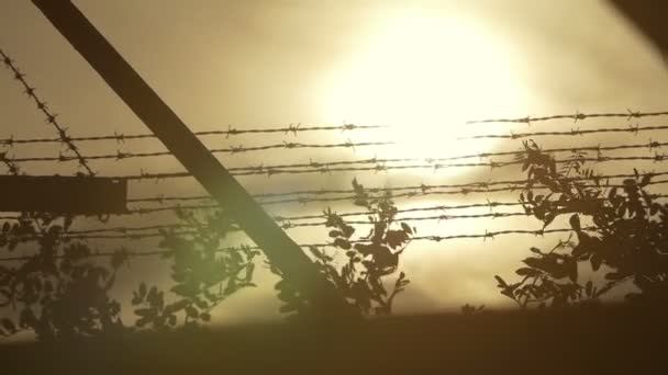 Outside barbed wire fence — Stock Video